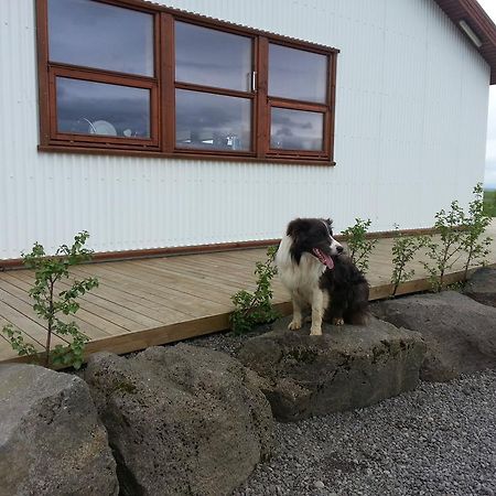 Skalinn Between Gullfoss And Geysir - Myrkholt Farm Haukadalur Zewnętrze zdjęcie
