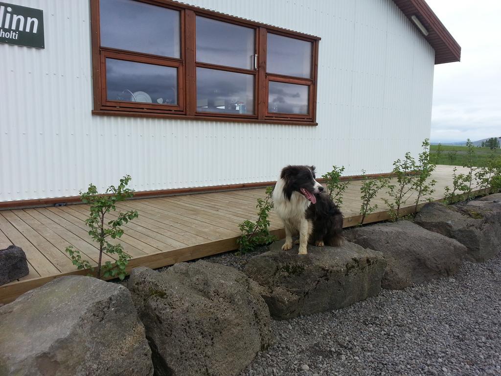 Skalinn Between Gullfoss And Geysir - Myrkholt Farm Haukadalur Zewnętrze zdjęcie