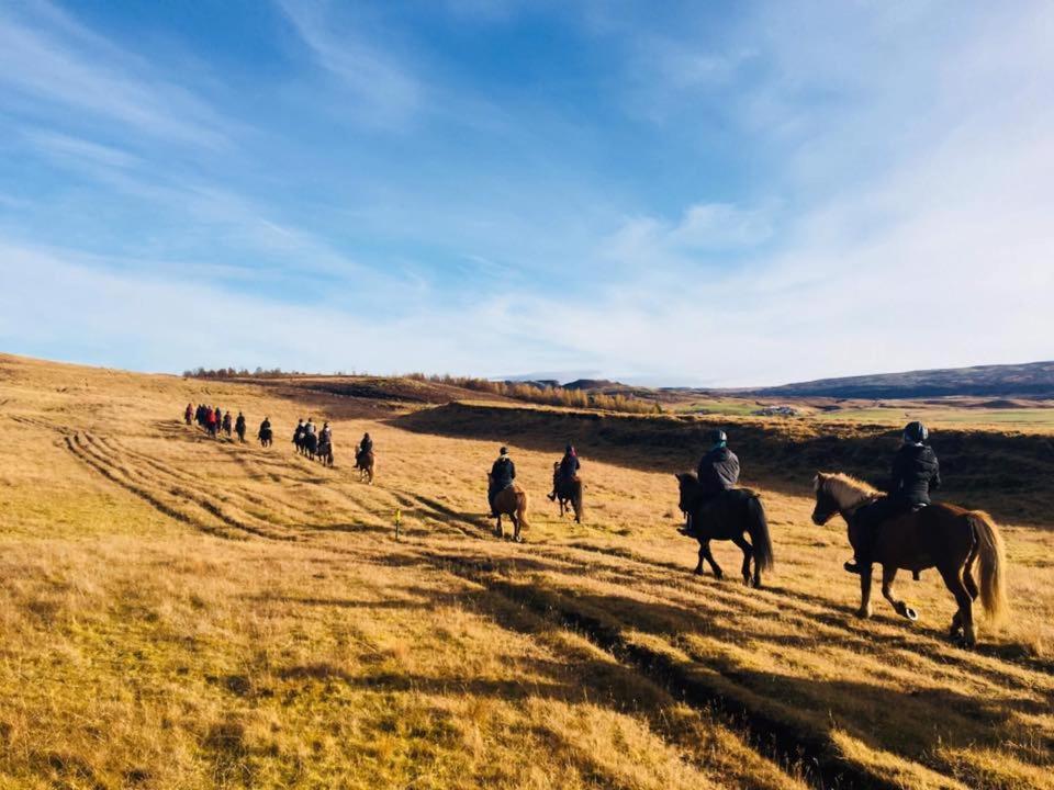 Skalinn Between Gullfoss And Geysir - Myrkholt Farm Haukadalur Zewnętrze zdjęcie